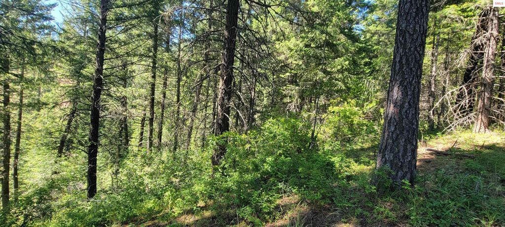 NNA S. Bobsled Trail, Coeur d'Alene, ID 83814 photo 15