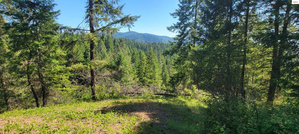 NNA S. Bobsled Trail, Coeur d'Alene, ID 83814 photo 16