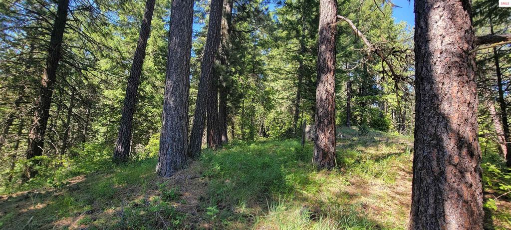 NNA S. Bobsled Trail, Coeur d'Alene, ID 83814 photo 17