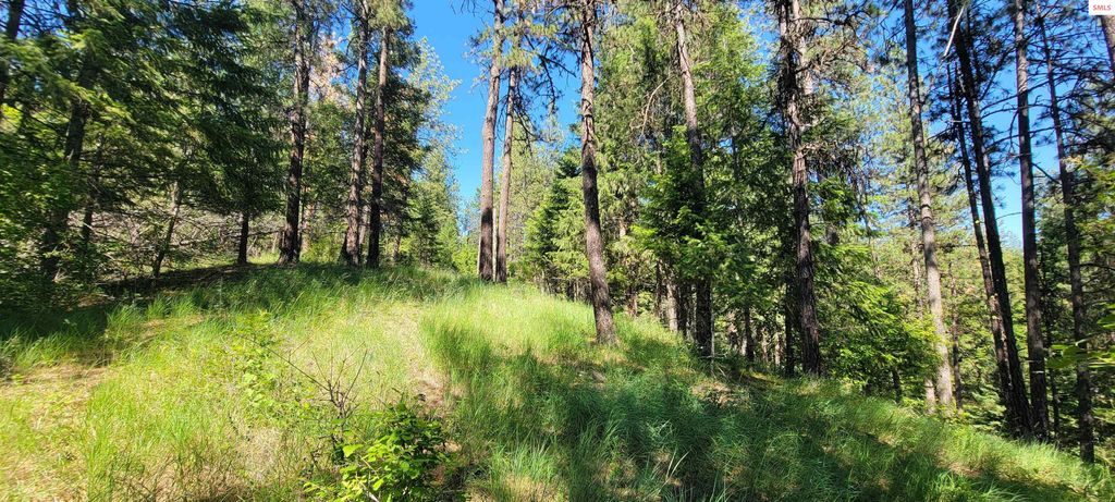 NNA S. Bobsled Trail, Coeur d'Alene, ID 83814 photo 18