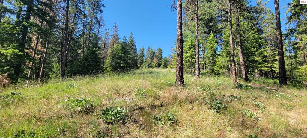 NNA S. Bobsled Trail, Coeur d'Alene, ID 83814 photo 19