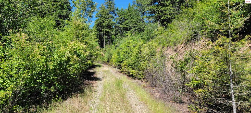 NNA S. Bobsled Trail, Coeur d'Alene, ID 83814 photo 2