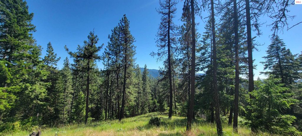 NNA S. Bobsled Trail, Coeur d'Alene, ID 83814 photo 20