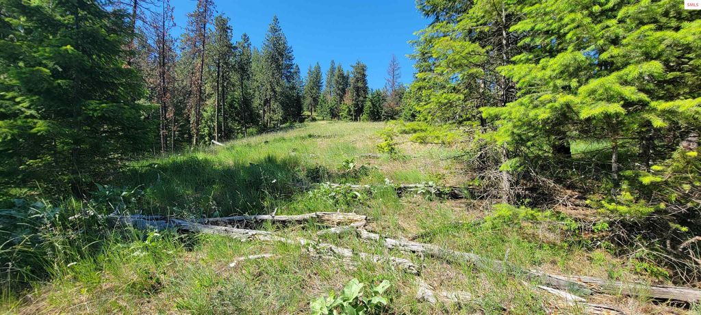 NNA S. Bobsled Trail, Coeur d'Alene, ID 83814 photo 21