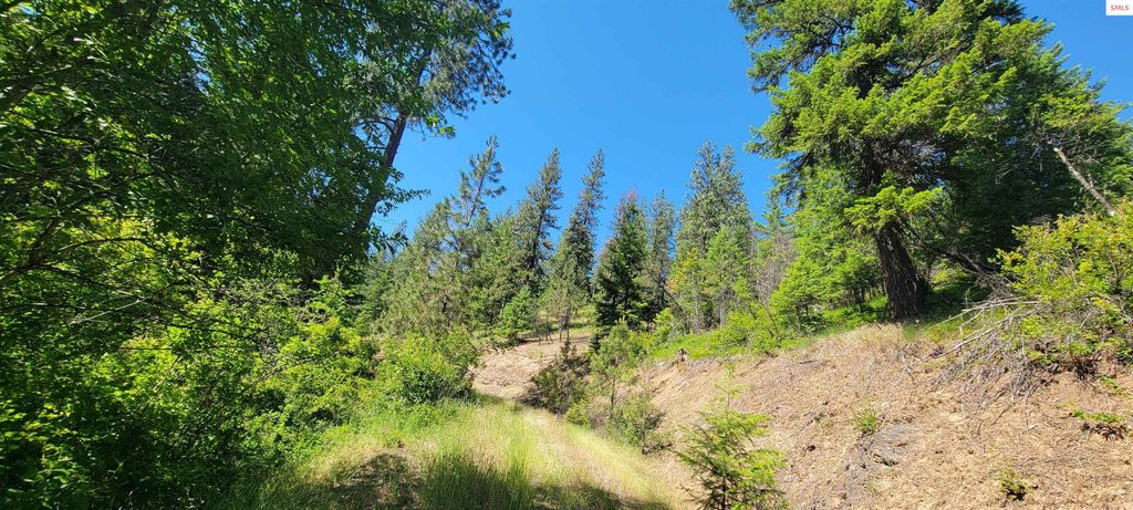 NNA S. Bobsled Trail, Coeur d'Alene, ID 83814 photo 3