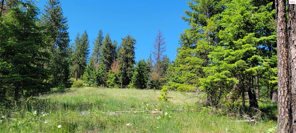 NNA S. Bobsled Trail, Coeur d'Alene, ID 83814 photo 5