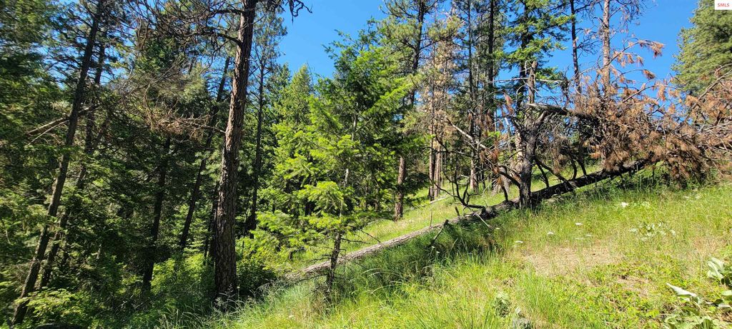 NNA S. Bobsled Trail, Coeur d'Alene, ID 83814 photo 6