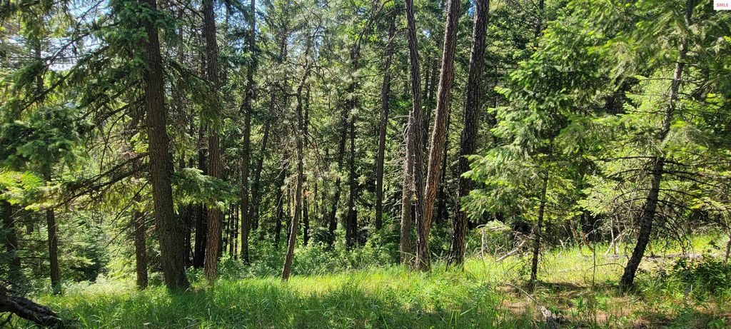 NNA S. Bobsled Trail, Coeur d'Alene, ID 83814 photo 8