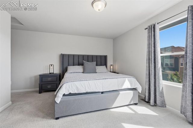 6295 White Wolf Point, Colorado Springs, CO 80925