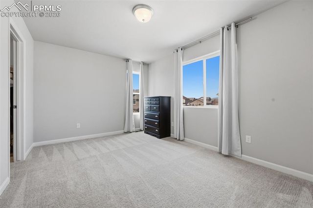 6295 White Wolf Point, Colorado Springs, CO 80925