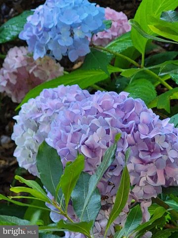 34 MOWBRAY LN, North East, MD 21901