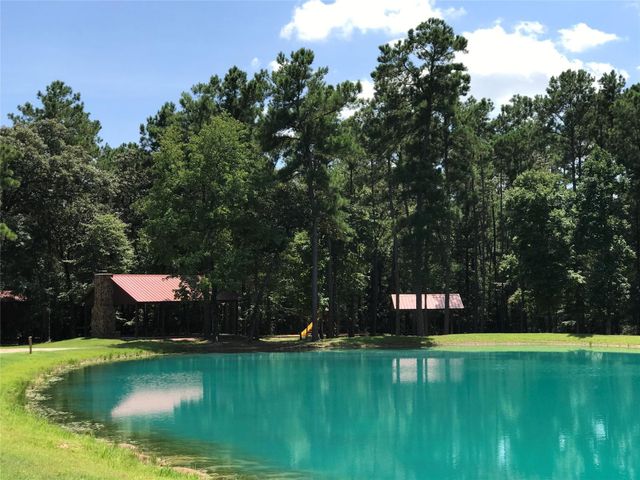15-34-38 Alamo Drive, Huntsville, TX 77380