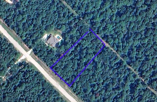15-34-38 Alamo Drive, Huntsville, TX 77380