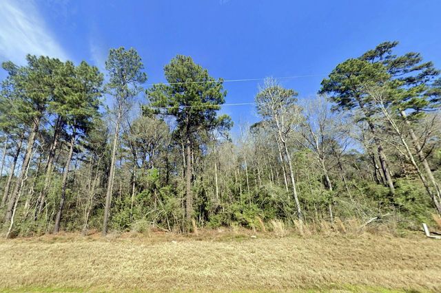 15-34-38 Alamo Drive, Huntsville, TX 77380