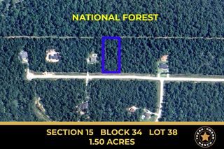 15-34-38 Alamo Drive, Huntsville, TX 77380