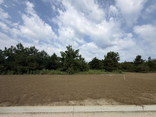 Lot 18 Homestead Lane, Smiths Station, AL 36877