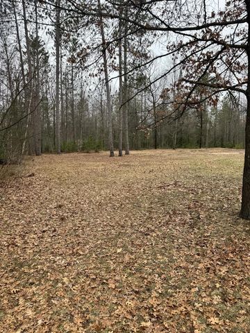 10365 Cadillac Drive, Lake, MI 48632