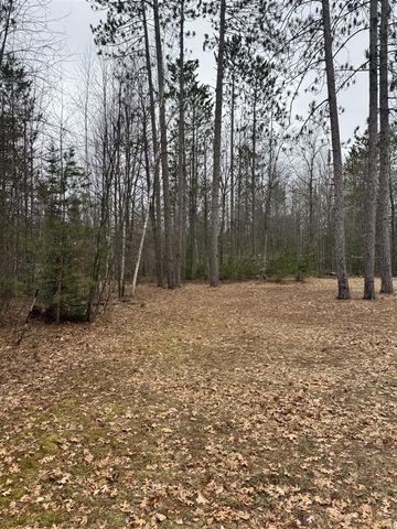 10365 Cadillac Drive, Lake, MI 48632