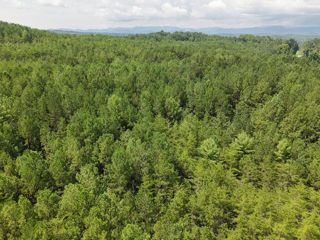 LT 4&5 Belltown Road, Copperhill, TN 37317
