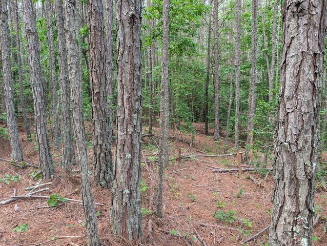 LT 4&5 Belltown Road, Copperhill, TN 37317
