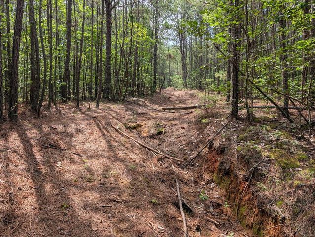 LT 4&5 Belltown Road, Copperhill, TN 37317