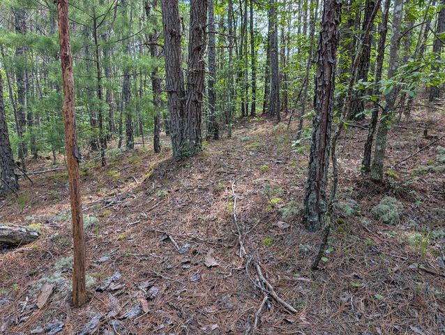 LT 4&5 Belltown Road, Copperhill, TN 37317