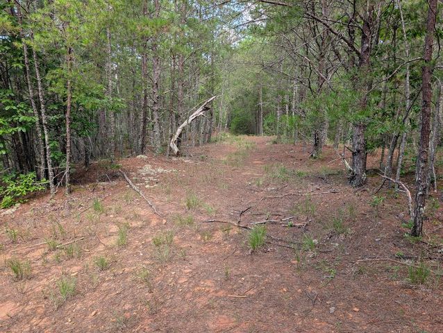 LT 4&5 Belltown Road, Copperhill, TN 37317