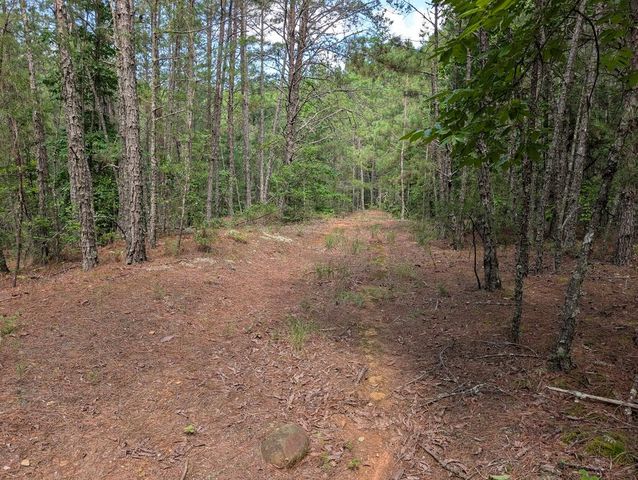 LT 4&5 Belltown Road, Copperhill, TN 37317