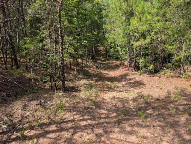 LT 4&5 Belltown Road, Copperhill, TN 37317