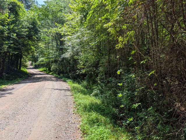 LT 4&5 Belltown Road, Copperhill, TN 37317