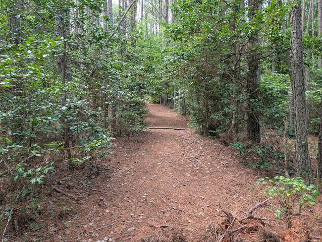 LT 4&5 Belltown Road, Copperhill, TN 37317