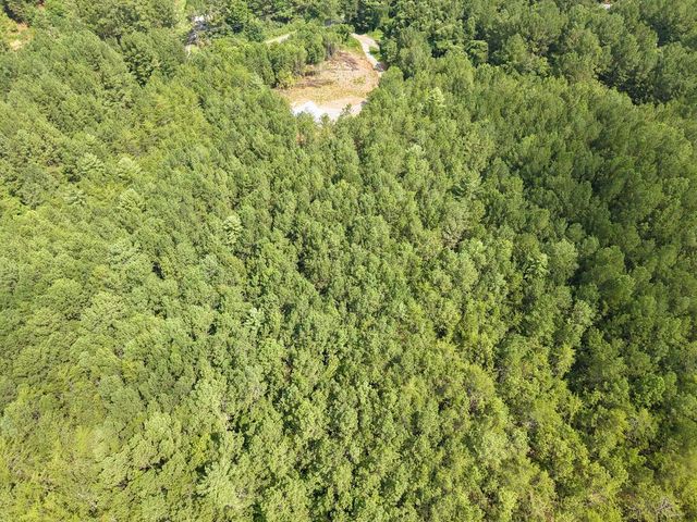 LT 4&5 Belltown Road, Copperhill, TN 37317