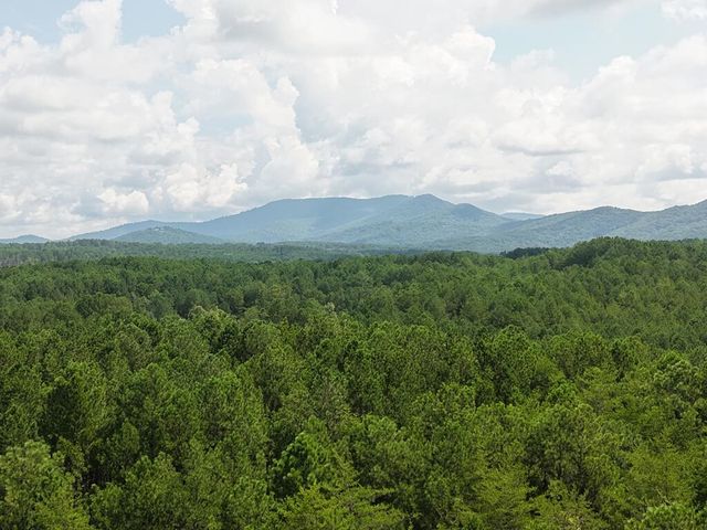 LT 4&5 Belltown Road, Copperhill, TN 37317