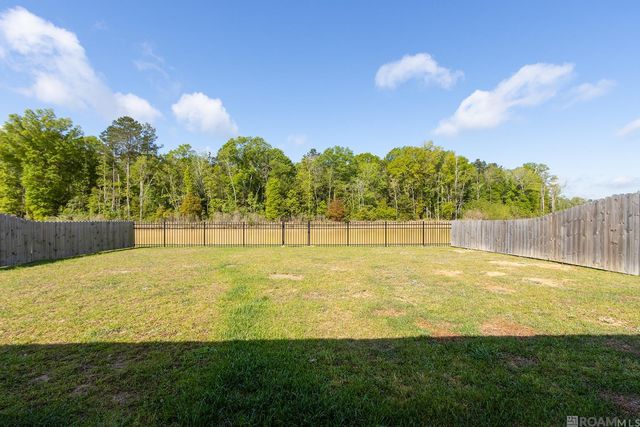 13035 Bayberry Ave, Walker, LA 70706