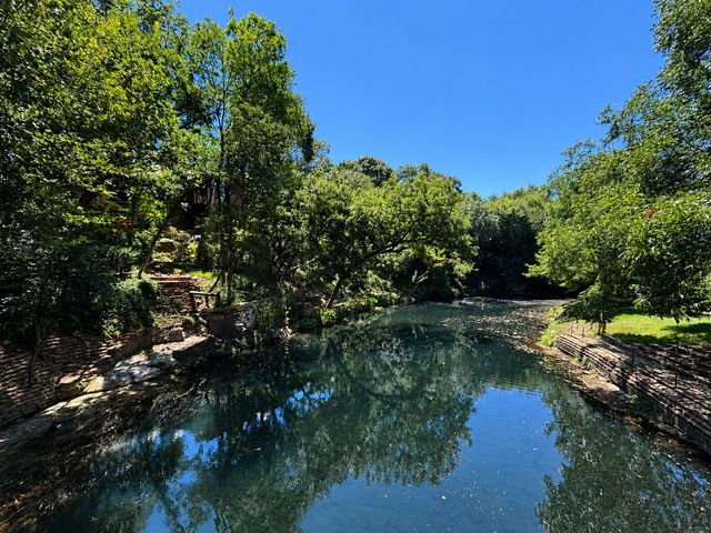 3883 Turtle Creek Boulevard 511, Dallas, TX 75219