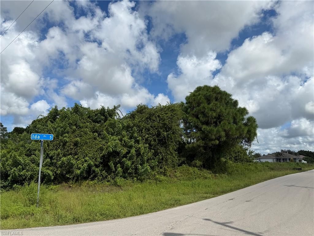 2902 46th ST SW, LEHIGH ACRES, FL 33976 — photo 3