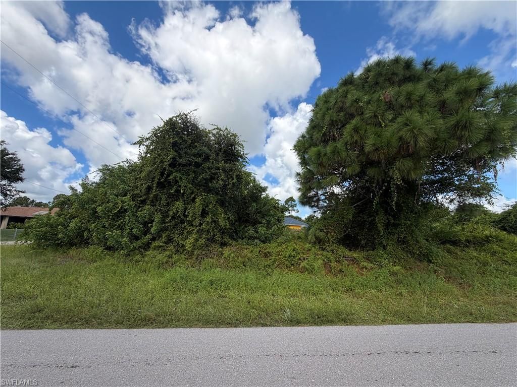 2902 46th ST SW, LEHIGH ACRES, FL 33976 — photo 5