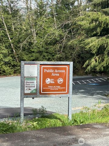 0 Lot 15 W Shore Drive, Lake Cavanaugh, WA 98274