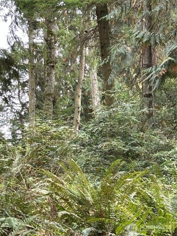 0 Lot 15 W Shore Drive, Lake Cavanaugh, WA 98274