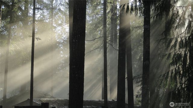 90 N Hamma Hamma Drive E, Hoodsport, WA 98548