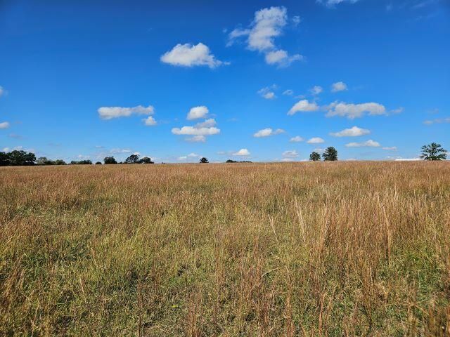 000 Kaylor Road, Mountain Grove, MO 65711