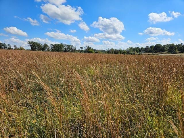 000 Kaylor Road, Mountain Grove, MO 65711