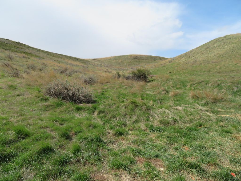 1st AVE, Havre, MT 59501 photo 2