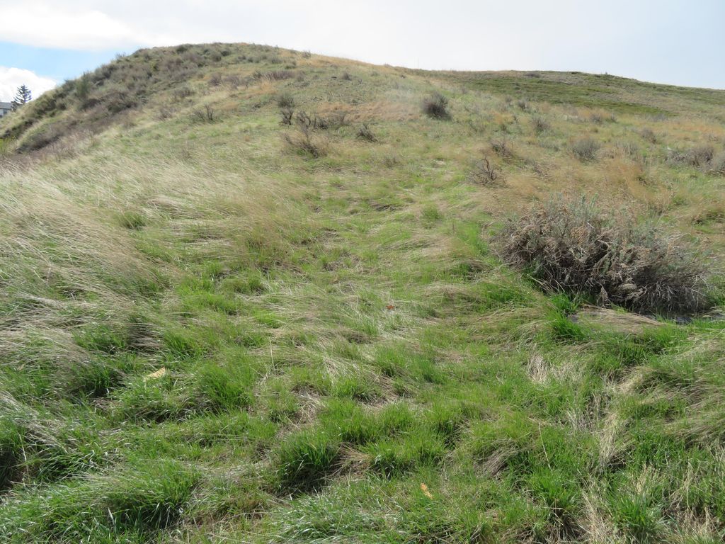 1st AVE, Havre, MT 59501 photo 4