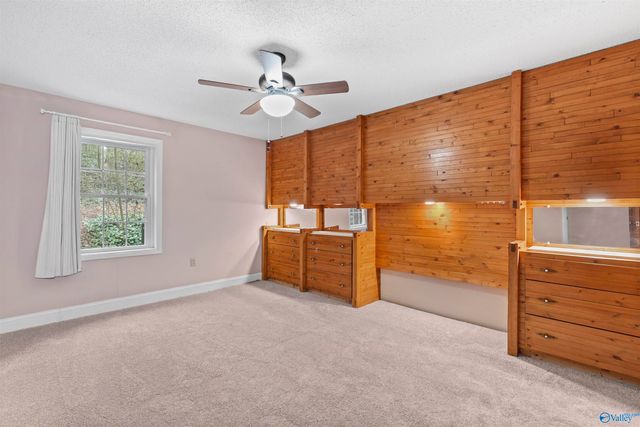 115 Cornelius Road, Guntersville, AL 35976