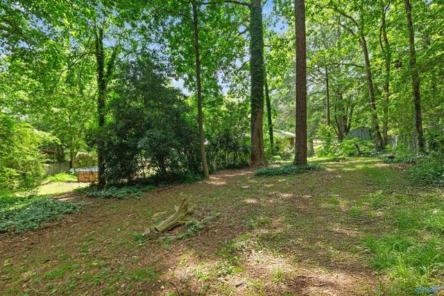 115 Cornelius Road, Guntersville, AL 35976