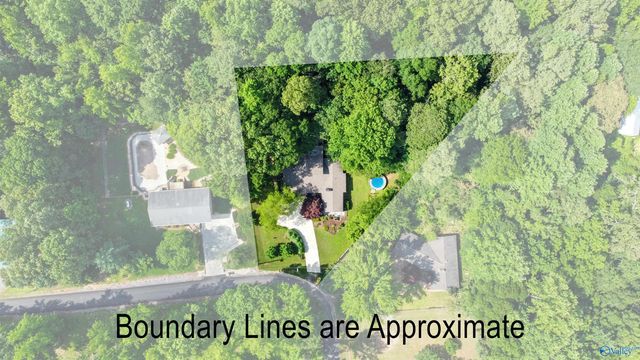 115 Cornelius Road, Guntersville, AL 35976