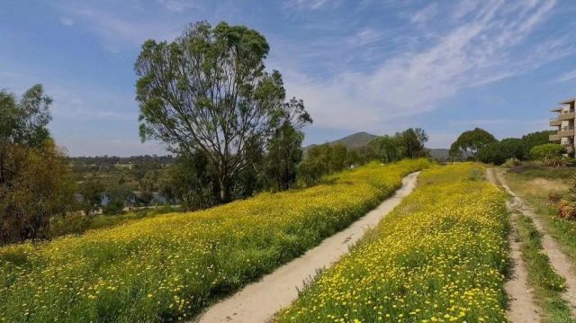 5704 Baltimore Dr. 304, La Mesa, CA 91942