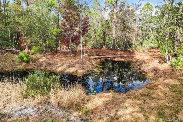 8503 W Freemont Street, Homosassa, FL 34448