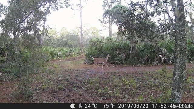 8503 W Freemont Street, Homosassa, FL 34448
